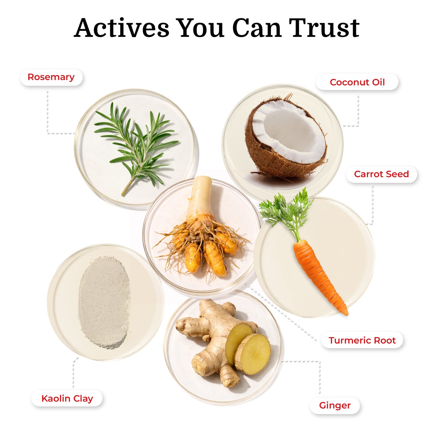 Turmeric Brightening Mask