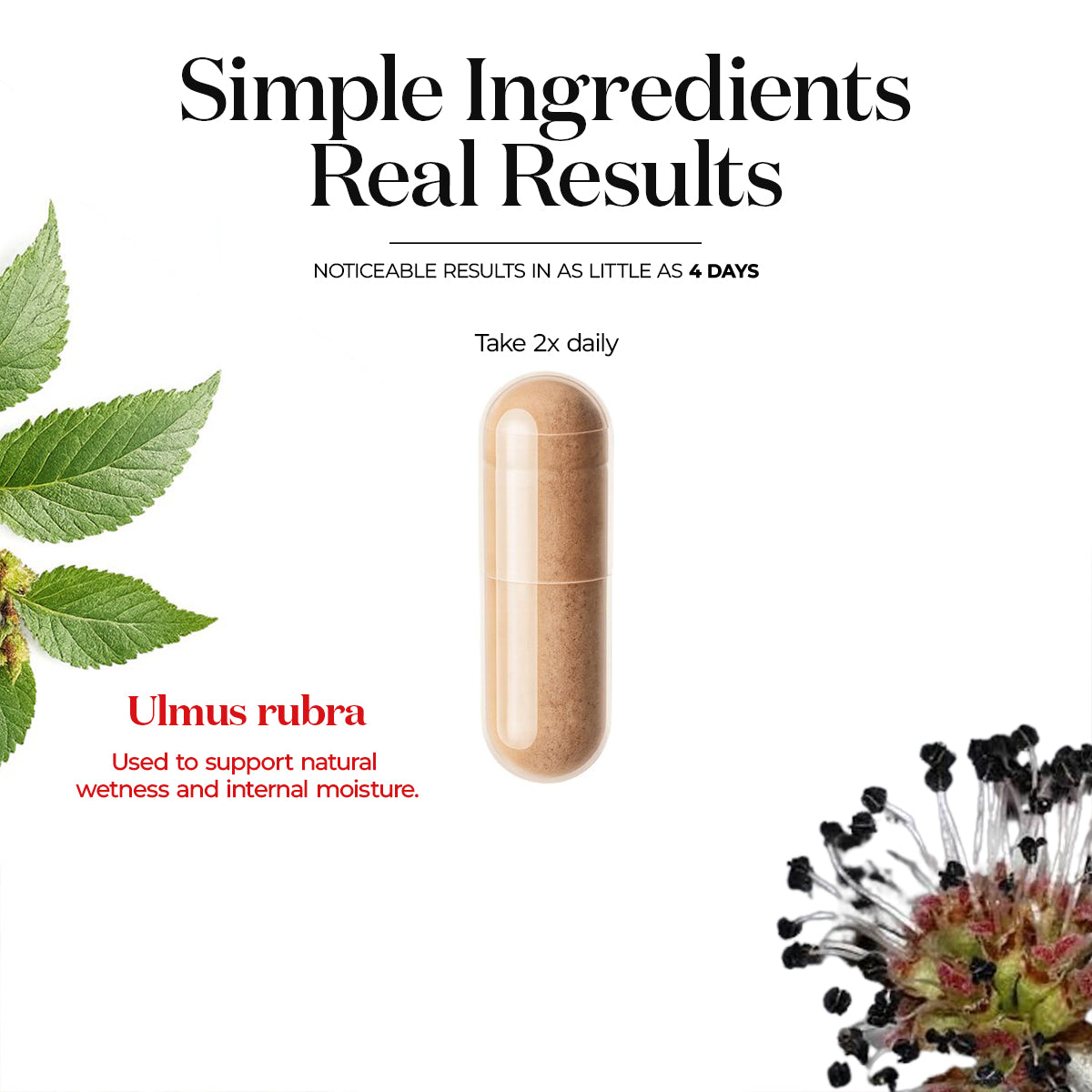 Vitality Moisture Capsules